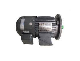 東元變頻電機(jī)（無(wú)編碼器）